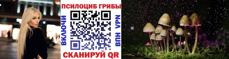 Псилоцибиновые грибы MAGIC MUSHROOMS  наркотики  Барнаул 